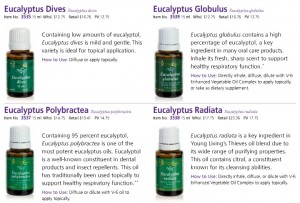 513x349xEucalyptus_Radiata_Dives_Globulus_Polybractea_bottles.jpg.pagespeed.ic.0EIBURtMPX